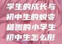 稚嫩之光，小学生的成长与初中生的蜕变稚嫩的小学生初中生怎么形容句子