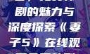 妻子5在线观看，免费韩剧的魅力与深度探索《妻子5》在线观看免费韩剧全集