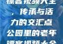 公园里的老年镖客视频大全，传承与活力的交汇点公园里的老年镖客视频大全图片