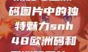 SNH48在欧洲码与亚洲码图片中的独特魅力snh48欧洲码和亚洲码图片一样吗