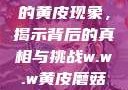 探索w.w.w下的黄皮现象，揭示背后的真相与挑战w.w.w黄皮磨菇招商