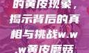 探索w.w.w下的黄皮现象，揭示背后的真相与挑战w.w.w黄皮磨菇招商