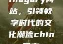 探索国产Chinagary网站，引领数字时代的文化潮流china s国产m p 4