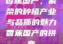香蕉国产，繁荣的种植产业与品质的魅力香蕉国产的拼音