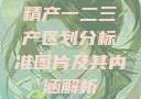 精产一二三产区划分标准图片及其内涵解析