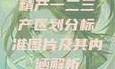 精产一二三产区划分标准图片及其内涵解析