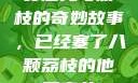 窦寇儿与荔枝的奇妙故事，已经塞了八颗荔枝的他窦寇儿