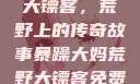 暴躁大妈荒野大镖客，荒野上的传奇故事暴躁大妈荒野大镖客免费观看