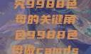 制作CAMDS成分表，探究9988色母的关键角色9988色母做camds成分表最新消息