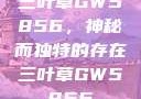 三叶草GW5856，神秘而独特的存在三叶草GW5856