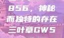 三叶草GW5856，神秘而独特的存在三叶草GW5856