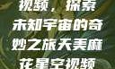 天美麻花星空视频，探索未知宇宙的奇妙之旅天美麻花星空视频剧组的故事