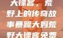 暴躁大妈荒野大镖客，荒野上的传奇故事暴躁大妈荒野大镖客免费观看