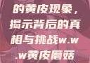 探索w.w.w下的黄皮现象，揭示背后的真相与挑战w.w.w黄皮磨菇招商