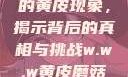 探索w.w.w下的黄皮现象，揭示背后的真相与挑战w.w.w黄皮磨菇招商
