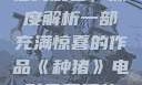 种猪电影免费在线观看，深度解析一部充满惊喜的作品《种猪》电影免费播放在线观看中文