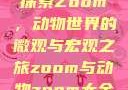 探索Zoom，动物世界的微观与宏观之旅zoom与动物zoom大全