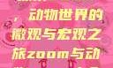 探索Zoom，动物世界的微观与宏观之旅zoom与动物zoom大全