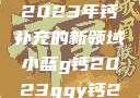 小蓝g钙与ggy钙，探索2023年钙补充的新领域小蓝g钙2023ggy钙2023的功能介绍
