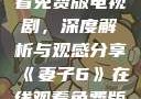 妻子6在线观看免费版电视剧，深度解析与观感分享《妻子6》在线观看免费版电视剧韩剧
