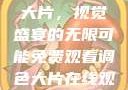 免费观看调色大片，视觉盛宴的无限可能免费观看调色大片在线观看