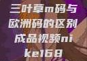 三叶草m码与欧洲码的区别成品视频nike168