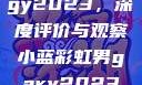 宏翔小蓝视频gy2023，深度评价与观察小蓝彩虹男gary2023的音乐作品