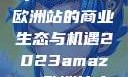 揭秘2023年Amazon欧洲站的商业生态与机遇2023amazon欧洲站大长颈