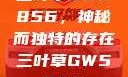 三叶草GW5856，神秘而独特的存在三叶草GW5856