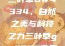 三叶草GW4334，自然之美与科技之力三叶草gw4334官网