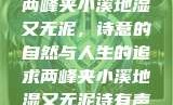 两峰夹小溪地湿又无泥，诗意的自然与人生的追求两峰夹小溪地湿又无泥诗有声