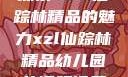 探索XZL仙踪林精品的魅力xzl仙踪林精品幼儿园的课程设置