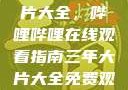 免费观看三年片大全，哔哩哔哩在线观看指南三年大片大全免费观看大全