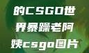暴躁老阿姨的CSGO世界暴躁老阿姨csgo图片高清在线观看