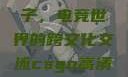 老外玩CSGO与中国的妹子，电竞世界的跨文化交流csgo高清大片大全免费观看