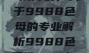 制作CAMDS成分表，关于9988色母的专业解析9988色母做camds成分表图片