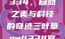 三叶草GW4334，自然之美与科技的奇迹三叶草gw4334官网