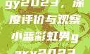 宏翔小蓝视频gy2023，深度评价与观察小蓝彩虹男gary2023的音乐作品