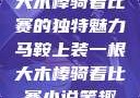 马鞍上装一根大木棒骑着比赛的独特魅力马鞍上装一根大木棒骑着比赛小说笔趣阁