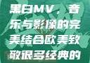 欧美致敬经典黑白MV，音乐与影像的完美结合欧美致敬很多经典的黑白mv