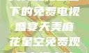 天美麻花星空下的免费电视盛宴天美麻花星空免费观看电视青柠