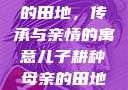 儿子耕种母亲的田地，传承与亲情的寓意儿子耕种母亲的田地的寓意电影