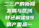 探索中国产业新面貌，一二三产的协同发展与区域特色解读99精产国品一二三产区区观看