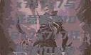 探索数字世界中的奥秘，x7x7x7与任意噪声106x7x7x7任意噪106是杂牌子吗知乎