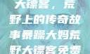 暴躁大妈荒野大镖客，荒野上的传奇故事暴躁大妈荒野大镖客免费观看