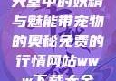 天堂中的妖精与魅能带宠物的奥秘免费的行情网站www下载大全