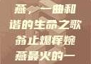 翁止熄痒婉燕，一曲和谐的生命之歌翁止熄痒婉燕最火的一句