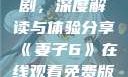 妻子6在线观看免费版电视剧，深度解读与体验分享《妻子6》在线观看免费版电视剧公公与媳妇