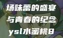 ysl水蜜桃86满十八—一场味蕾的盛宴与青春的纪念ysl水蜜桃86满十八和88区别