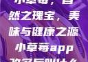 小草莓，自然之瑰宝，美味与健康之源小草莓app改名后叫什么